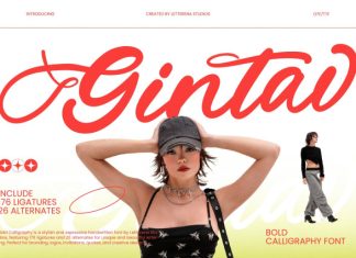 Gintav – Bold Calligraphy Font preview image 1