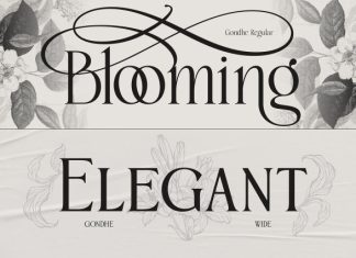 Gondhe – Elegant Serif with Swashes Font preview image 3