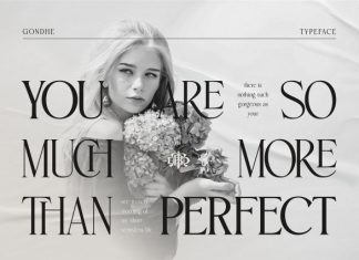 Gondhe – Elegant Serif with Swashes Font preview image 2
