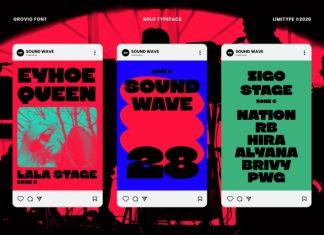 Grovio – Bold Dsiplay Font preview image 2