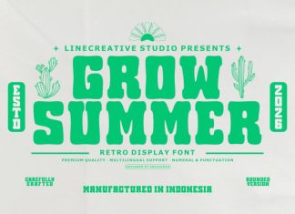 Grow Summer – Retro Display Font preview image 1
