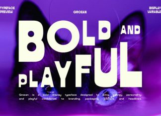 Grozan – Bold Playful Display Typeface Font preview image 2