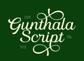 Gunthala Script Font preview image 1