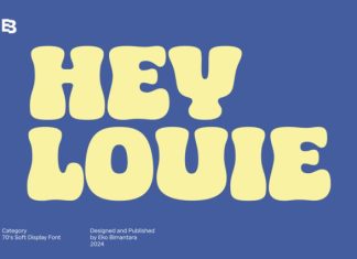 HEY LOUIE Font preview image 1