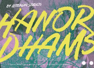 Hanor Dhams – Display Brush Font preview image 1