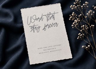 Havelle – Monoline Handwriting Font preview image 3