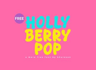 Holly Berry Pop Font preview image 1