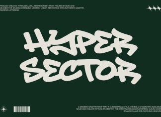 Hyper Sector Graffiti Font preview image 1