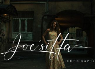 Inter Signature Font preview image 3