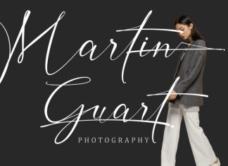 Inter Signature Font preview image 2