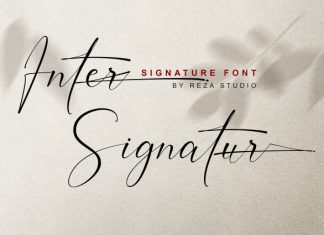 Inter Signature Font preview image 1