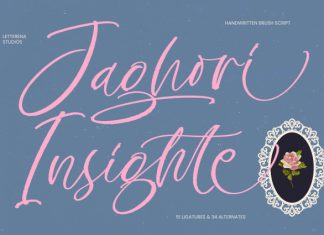 Jaghori Insighte Font preview image 1