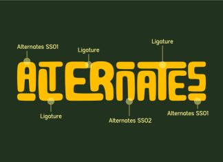 Jalsora Font preview image 3