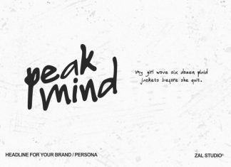 Journal Brush Handwritten Font preview image 3