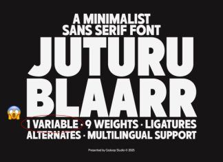 Juturu Blaarr – Clean Geometric Font preview image 1