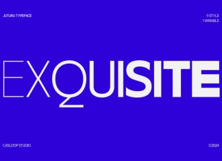 Juturu Geometric Variable 9 Fonts preview image 3