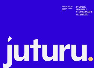 Juturu Geometric Variable 9 Fonts preview image 1