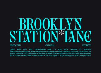 Kagrona – Y2K Experimental Serif Font preview image 2