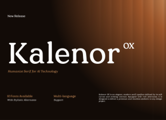 Kalenor OX – Ethical AI Serif Font preview image 1