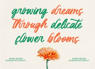 Klaribela – Bold Calligraphy Font preview image 2