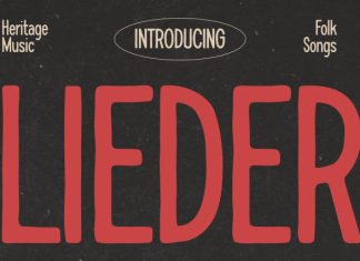 LIEDER Font preview image 1
