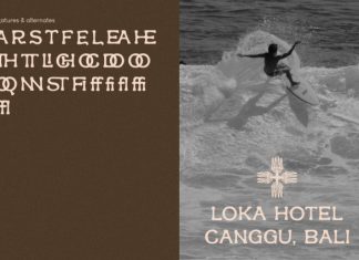 La Paneru Display Font preview image 3