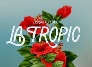 La Tropic Summer Typeface Font preview image 1