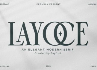 Layoce – Elegant Modern Serif Font preview image 1
