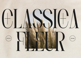 Lequano New Display Serif Font preview image 2