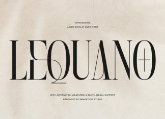 Lequano New Display Serif Font preview image 1