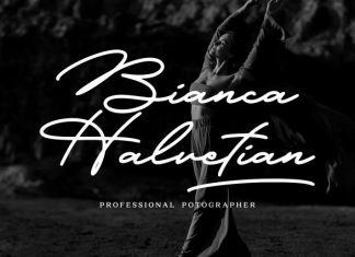 Libertian Signature – A Monoline Signature Font preview image 3