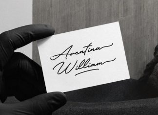 Libertian Signature – A Monoline Signature Font preview image 2