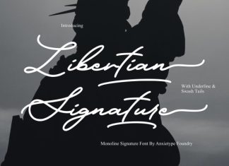 Libertian Signature – A Monoline Signature Font preview image 1