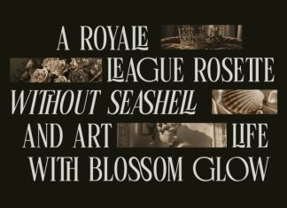 Linneva – Modern Serif Typeface Font preview image 3