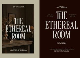 Linneva – Modern Serif Typeface Font preview image 2