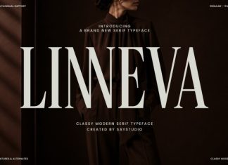 Linneva – Modern Serif Typeface Font preview image 1