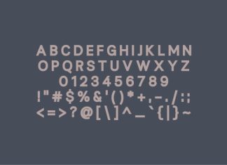 Lionne Font preview image 3