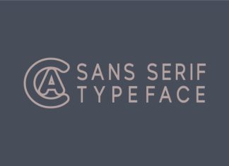 Lionne Font preview image 2