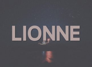 Lionne Font preview image 1