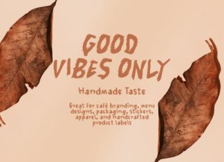 Liyanea Brush Display Font preview image 2
