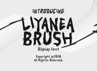 Liyanea Brush Display Font preview image 1