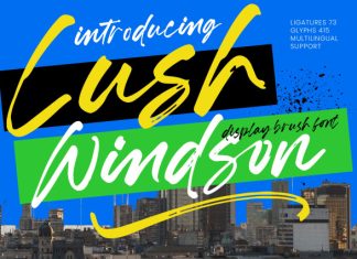Lush Windson – Display Brush Font preview image 1