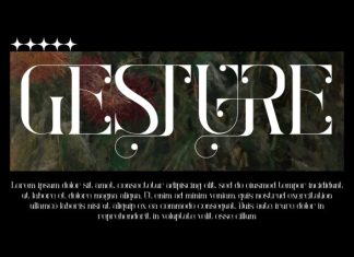 MARITIME EMPIRES – ELEGANT SERIF FONT preview image 3