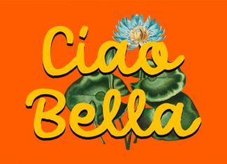 Madre Rosalia – Retro Script Font preview image 3