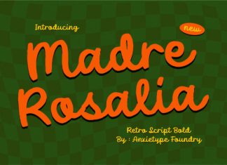 Madre Rosalia – Retro Script Font preview image 1