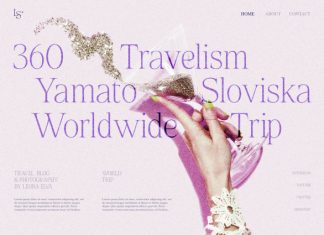 Magakoro Elegant Serif Font preview image 3