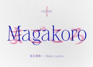 Magakoro Elegant Serif Font preview image 1