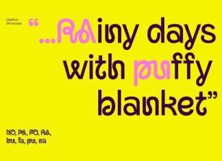 Malebo – Quirky Logo Sans Font preview image 2