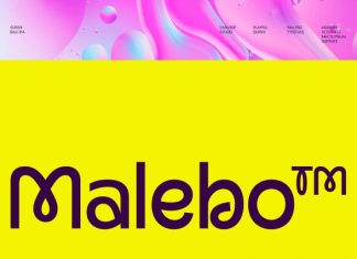 Malebo – Quirky Logo Sans Font preview image 1