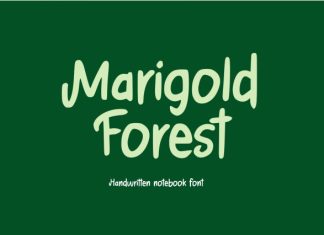 Marigold Forest Font preview image 1